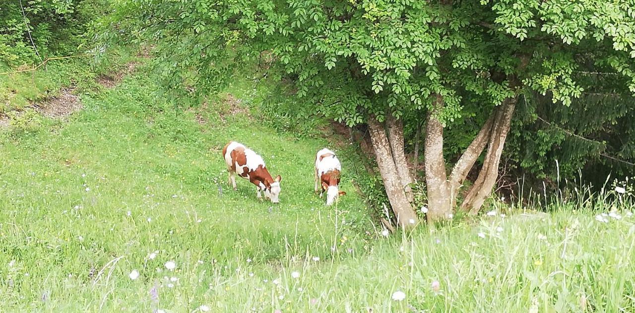 Agriturismo Ferienhof Gschloier (Adults Only) لايون المظهر الخارجي الصورة