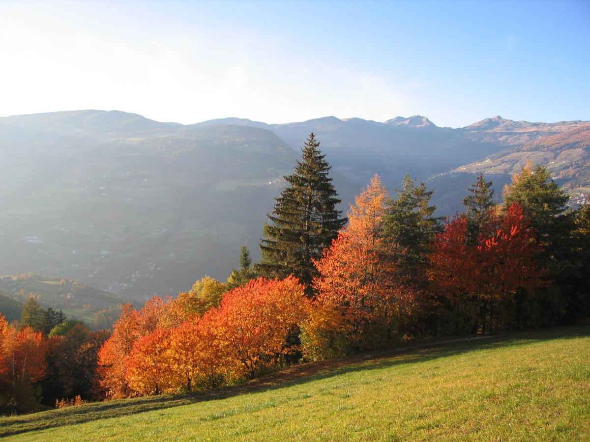 Agriturismo Ferienhof Gschloier (Adults Only) لايون المظهر الخارجي الصورة