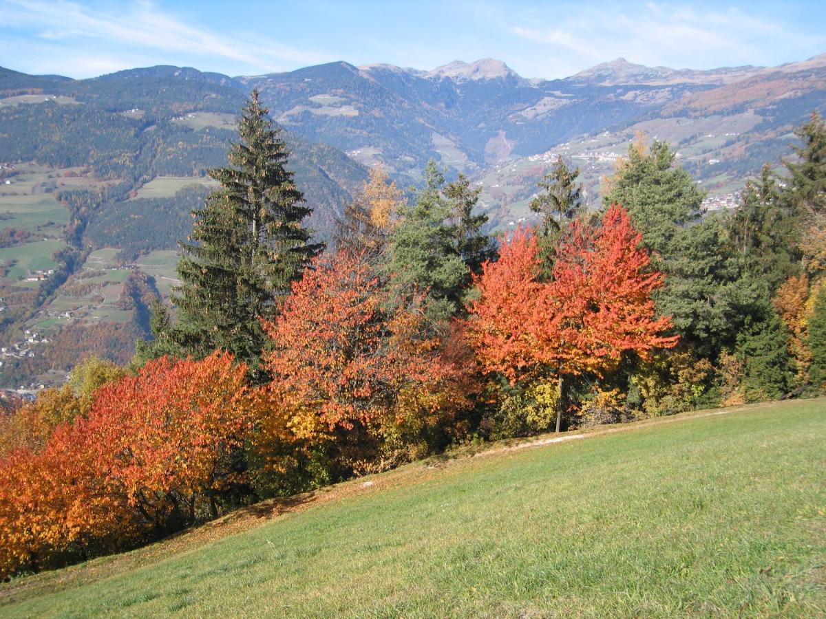 Agriturismo Ferienhof Gschloier (Adults Only) لايون المظهر الخارجي الصورة