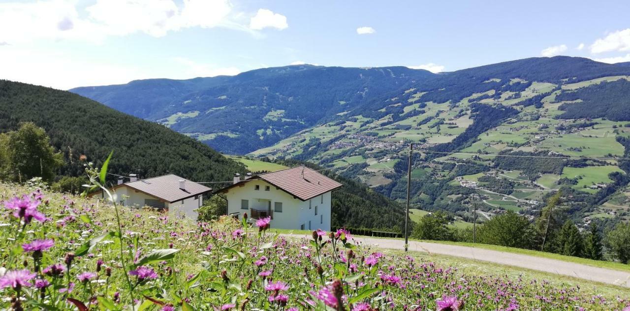 Agriturismo Ferienhof Gschloier (Adults Only) لايون المظهر الخارجي الصورة